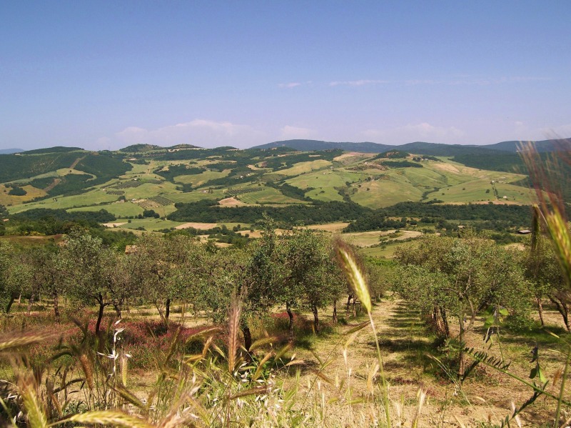 Una tarda primavera sulla Tolfa